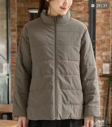 허니즈 스탠드 블루종