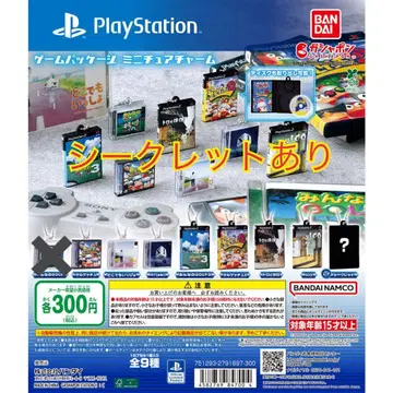 게임 패키지 미니어처 참 (Playstation) 시크릿 포함