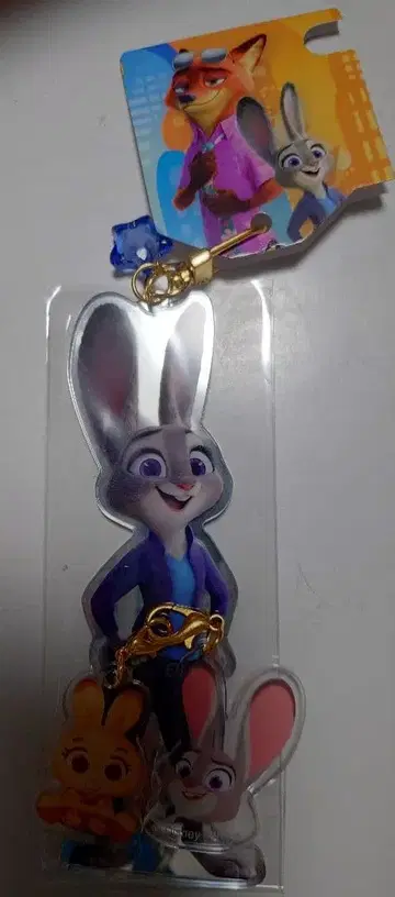 주디의 아크릴 키링