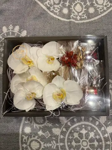 성인식용 팔레놉시스 머리 장식 세트