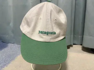 patagonia 캡
