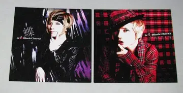 Acid Black Cherry 나비 샹그릴라 아더 자켓 세트