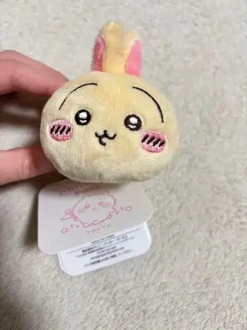 토끼 밴딩 치이카와 파크