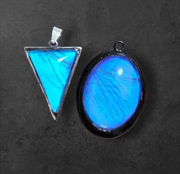 [ 즉시 결제 가격 ] 정품 모르포 나비 깃털 액세서리 탑 2세트