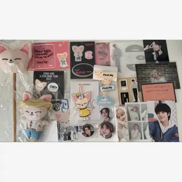 straykids 아이엔 폭시니 묶음 판매