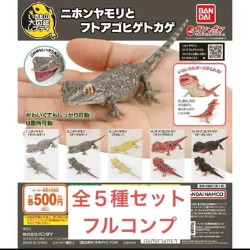 생물대도감 쁘띠 일본도마뱀과 수염도마뱀 전 5종 세트