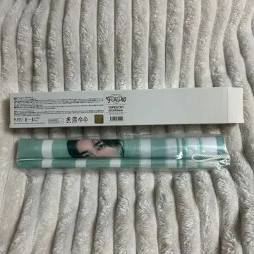 정한 SEVENTEEN 태피스트리