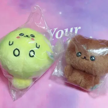 체고심 봉제 인형 가챠가챠 마루고심 곰고심 세트