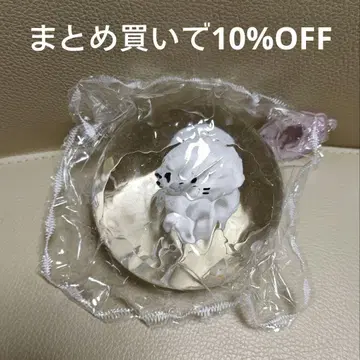 MoMo 스퀴즈 해양 시리즈 물개