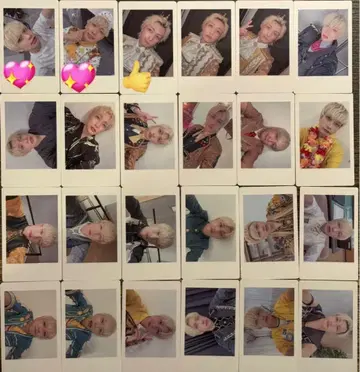 팬더드래곤 요타 하피카 폴라로이드