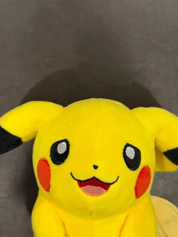 마이피카츄 포켓몬 센터 피카츄 포켓몬 센터 봉제 인형