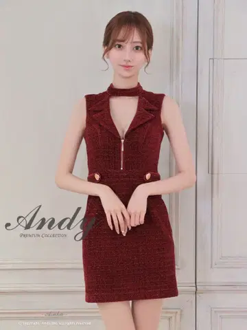 Andy 버건디 타이트 드레스