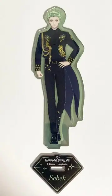 세벡 트위스티드 브레이징 주얼 아크릴 스탠드