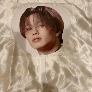 초특급 마사히로 에비라이 부채