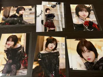 이소베 카린 크리스마스 브로마이드 2025