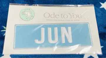 SEVENTEEN 준 배지