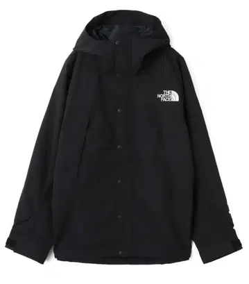 THE NORTH FACE mountain light jacket