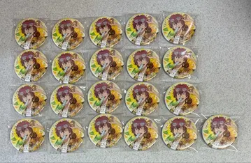 마루이 분타 캔뱃지