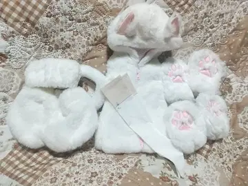 보크스제 SD SDgr DD 고양이 세트