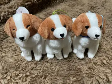 코이케루 혼디에 오데코짱 오스와리 VMC