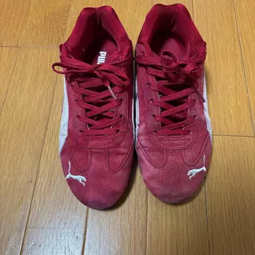 스피도캣 레드 27cm