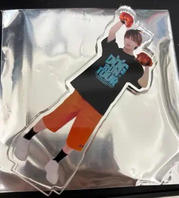 TOBY HOMES 나츠 아크릴 스탠드