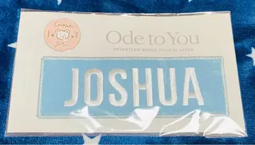 SEVENTEEN 조슈아 배지