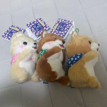 AMUFUN 콩 시바 삼형제 모두 함께 조르기 LMC 3체 세트