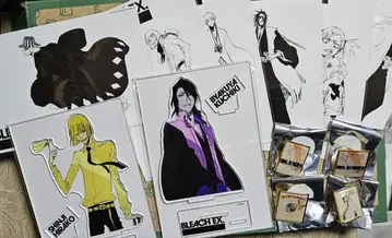 BLEACH 히라코 시로야, 우라하라 긴 BLEACH 원화전