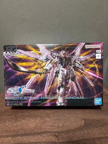 마이티 스트라이크 프리덤 건담 HG