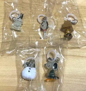 스누피 메지루시 액세서리 5종 세트