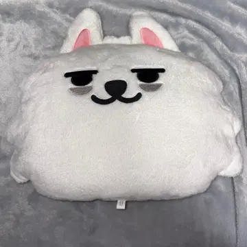 뿔바투 PPULBATU 최수빈 최연준 쿠션