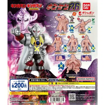 킨케시 26 페일 오렌지 6종 세트