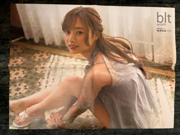 매실자와 미나미 blt graph. 포스터