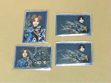 치루 상자 오마지 네이비 퓨전 트레이딩 카드 이마이 하타노 씨 4장 세트