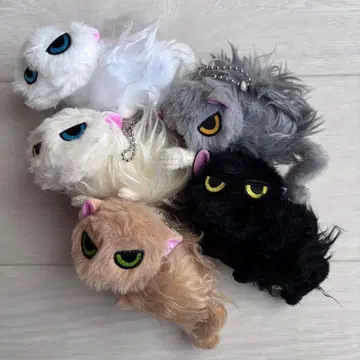 따르지 않는 고양이 봉제 인형 5종 컴플리트
