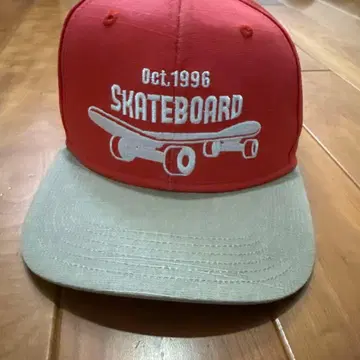 스케이트보드 디자인 캡
