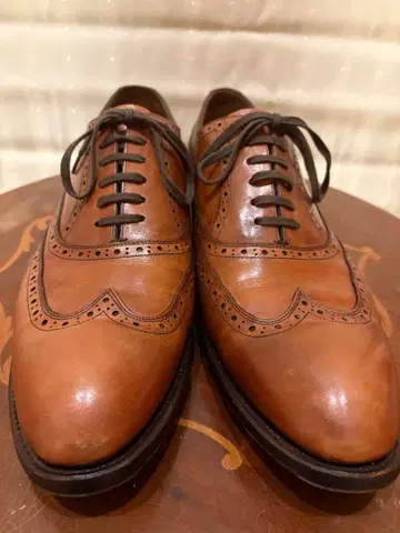 REGAL 셰틀랜드 폭스 쿼터 브로그 브라운