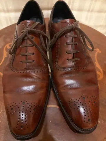 REGAL 셰틀랜드 폭스 쿼터 브로그 다크 브라운