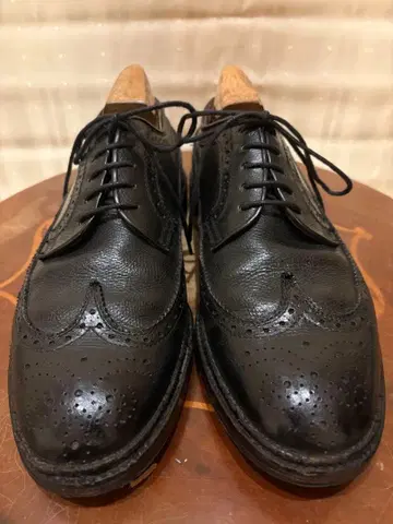 REGAL 이스트 코스트 윙팁