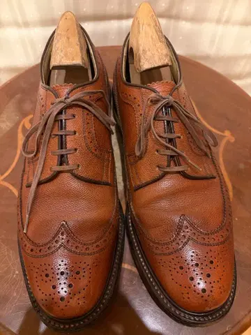 REGAL 임페리얼 그레이드 윙 팁