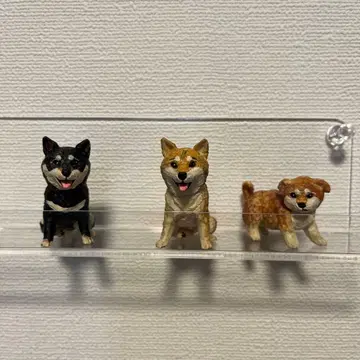하시모토 미오 강아지 조각