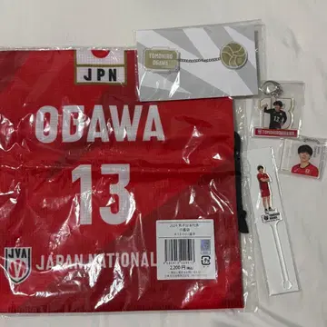 배구 오가와 토모히로