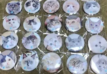 고양이 카페 moff 이온몰 하마마츠시토로점