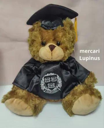 하버드 졸업식 곰 봉제 인형 테디베어