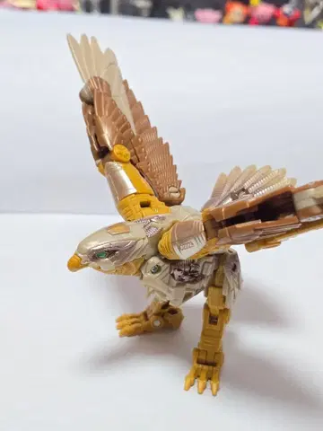 에어레이저 디럭스 클래스 BD-03