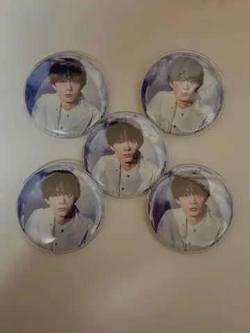 미즈사와 린타로 캔뱃지 5개 세트 팬미팅  with the fans