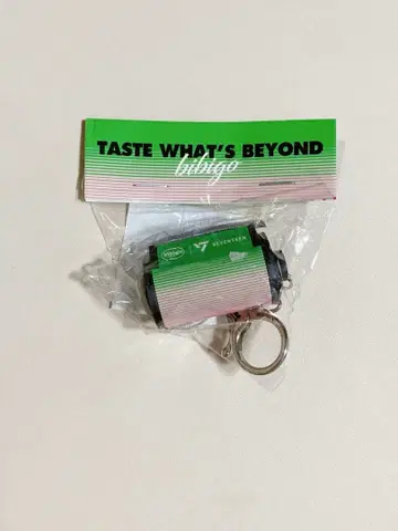 SEVENTEEN 필름 키링 bibigo