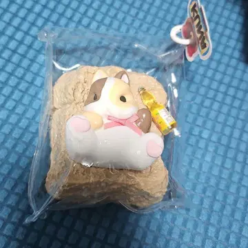 KUNA 토끼 시크레