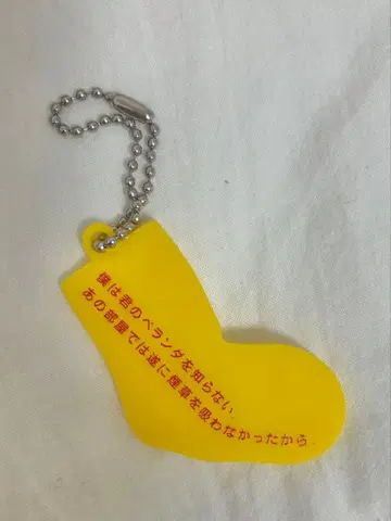 텔레 베란다 시의 형태 키링